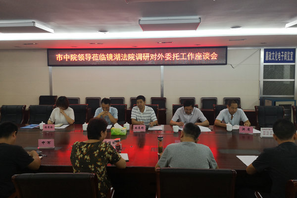 芜湖市中级法院调研镜湖区法院对外委托工作1.jpg